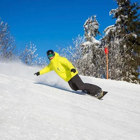 Haus Winterberg - Feldberg Im Schwarzwald